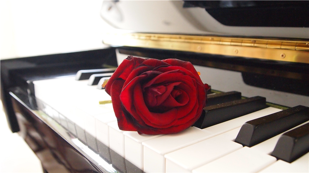 Rose og piano. Foto Aritha, Pixabay